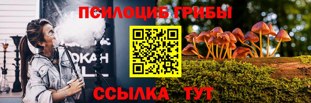 Абинск  Псилоцибиновые грибы ЛСД  Вход с VPN  Галлюциногенные грибы ЛСД 